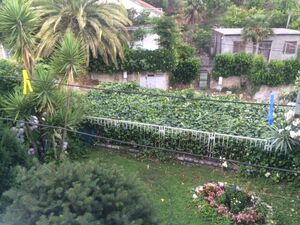 Herceg Novi, Herceg Novi