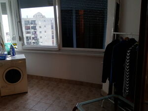 Djoka Mirasevica, Podgorica