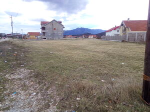 Nikca od Rovina 32, Nikšić