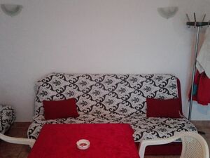 Rutke bb, Bar