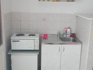 Rutke bb, Bar