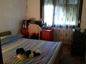 Baja Pivljanina 19, Podgorica