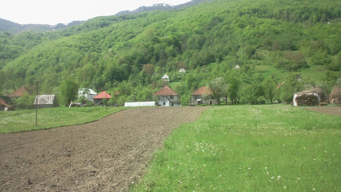 Donja Polja, Mojkovac