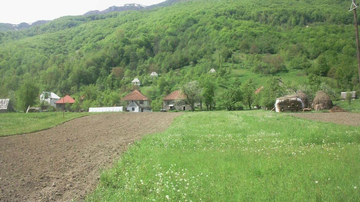 Donja Polja, Mojkovac