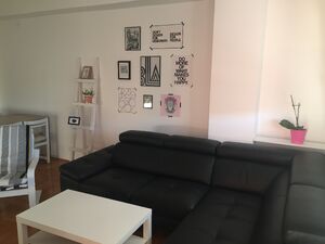 Studentska bb Podgorica