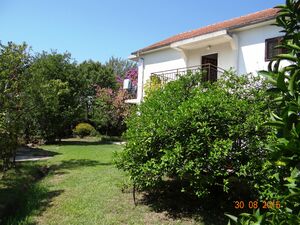 Kalimanj bb, Tivat