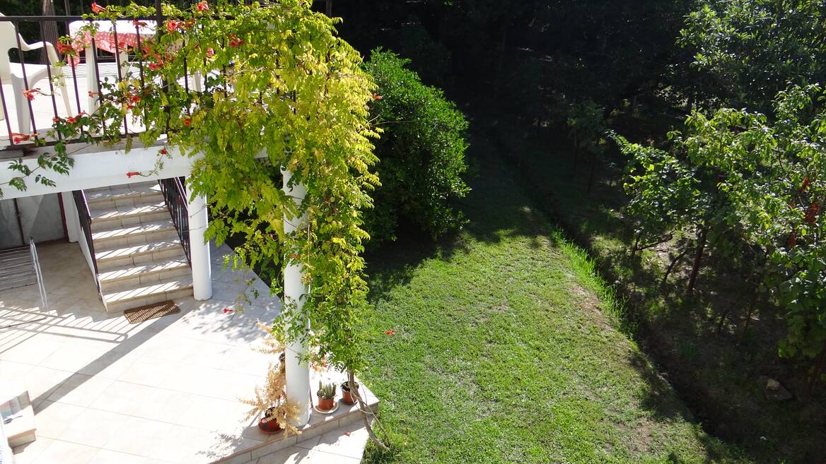 Kalimanj bb, Tivat