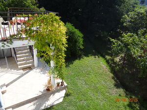 Kalimanj bb, Tivat