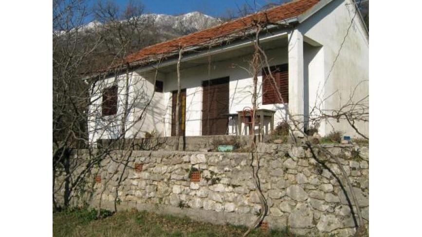 Markovici, Budva