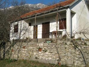 Markovici, Budva