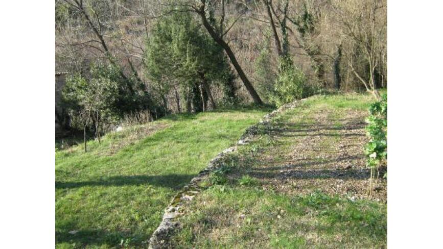 Markovici, Budva