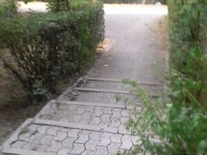 Gipos , Cetinje