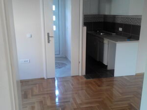 Tripa Kokolja 6, Podgorica