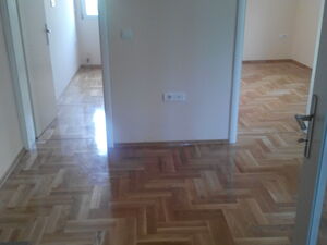 Tripa Kokolja 6, Podgorica