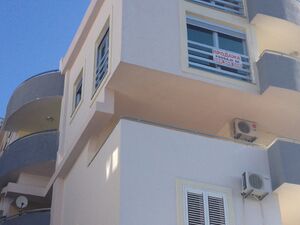 Pancevacka 19, Budva