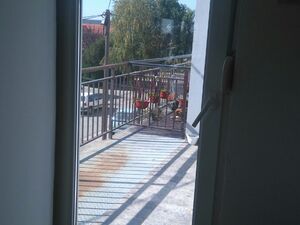 Vere Miscevic 78, Stara Pazova