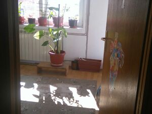 Vere Miscevic 78, Stara Pazova