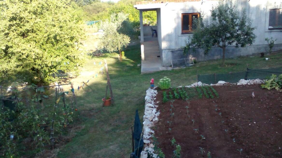 Orja Luka b.b., Danilovgrad