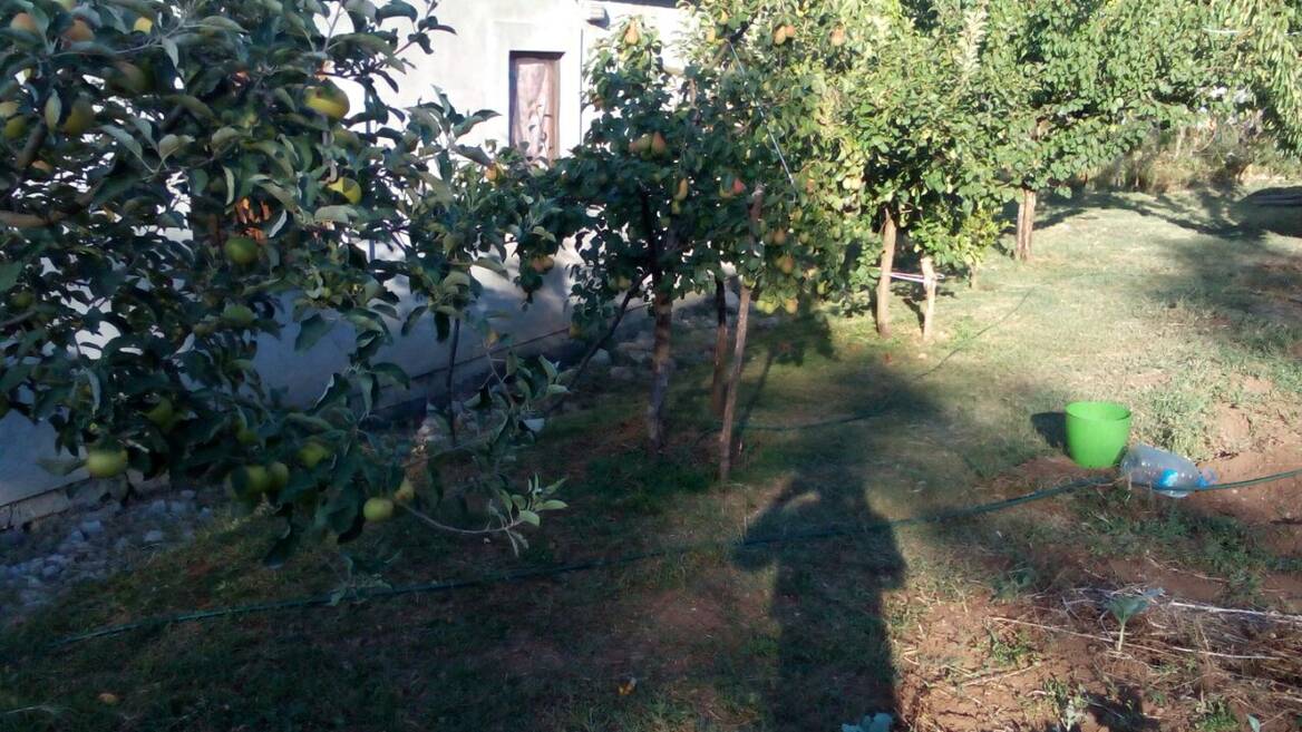 Orja Luka b.b., Danilovgrad
