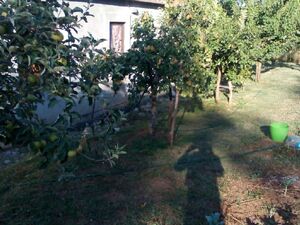 Orja Luka b.b., Danilovgrad