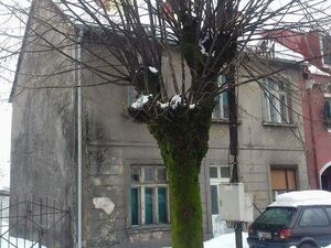 4 proleterska br 30, Cetinje