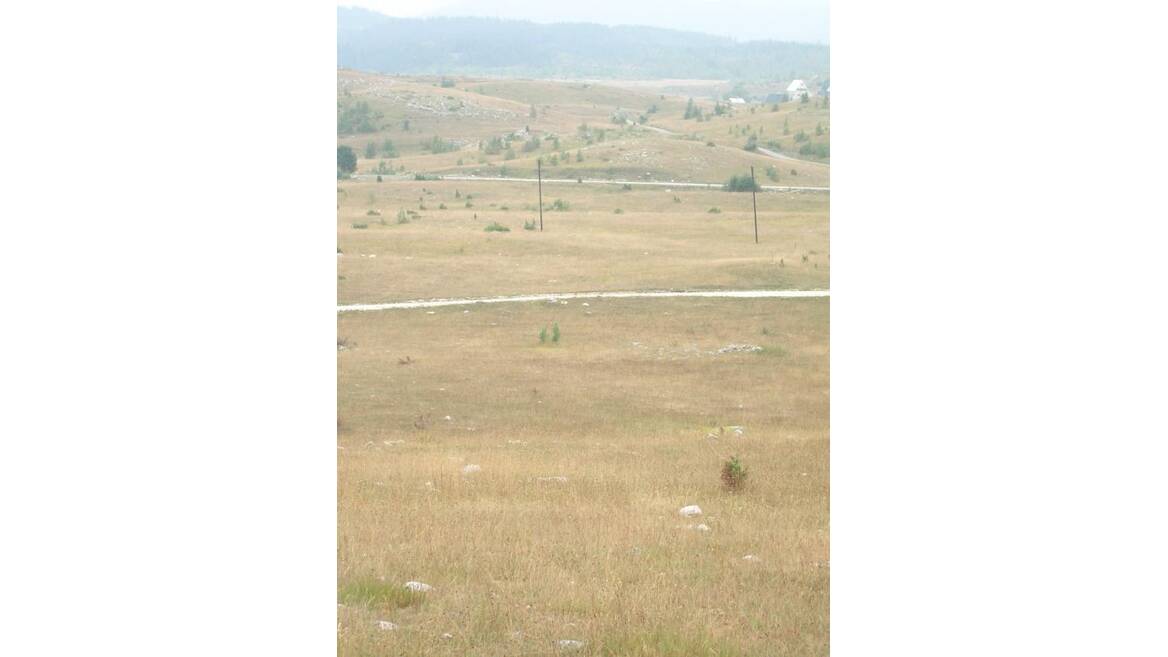 Narodnih heroja b.b., Žabljak