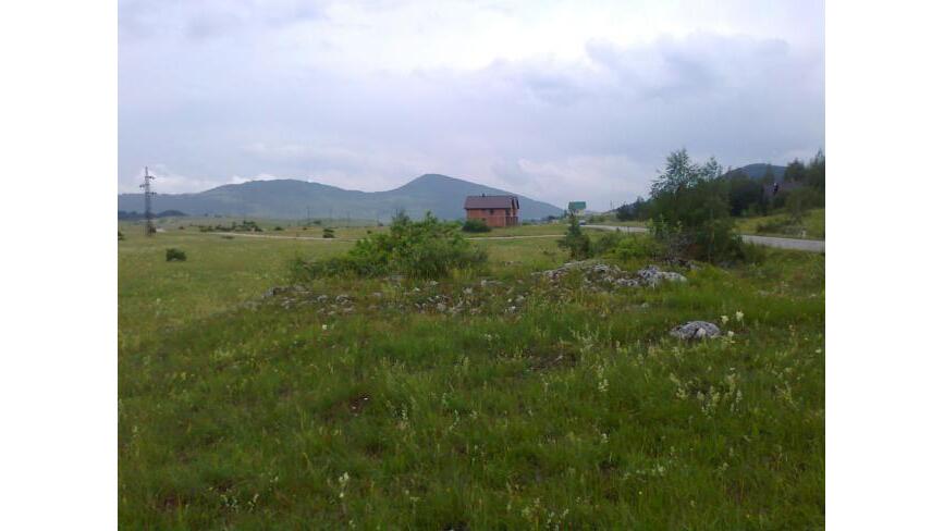 Narodnih heroja b.b., Žabljak