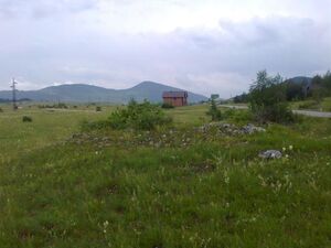 Narodnih heroja b.b., Žabljak