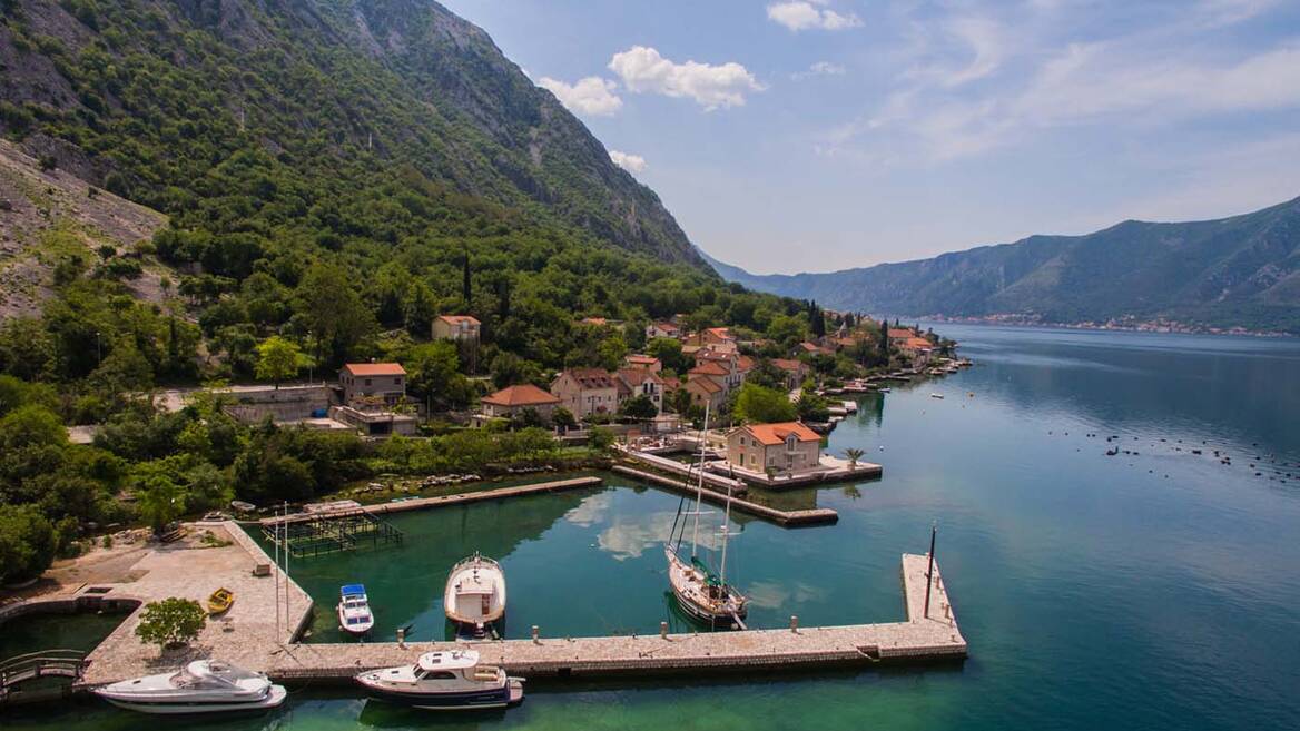 Ljuta, Kotor