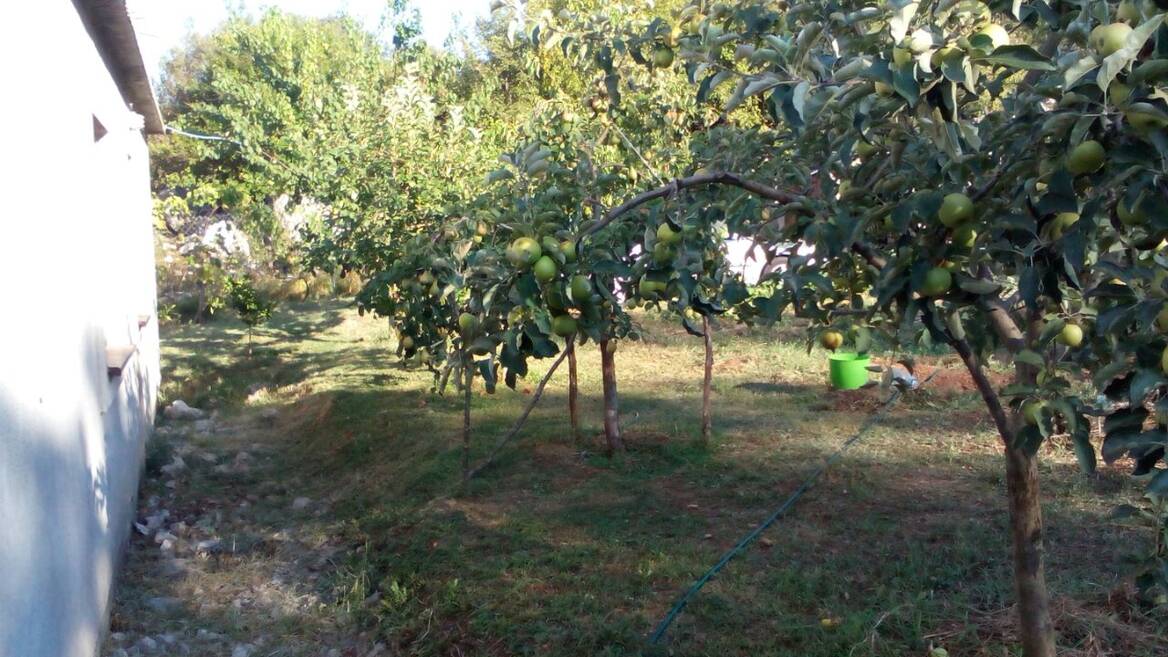 Velja Paprat bb, Danilovgrad