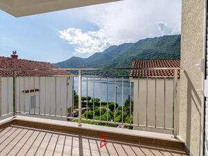 Lepetani, Tivat