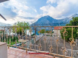 Ljuta, Kotor