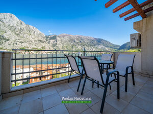 Muo, Kotor