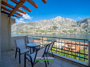 Muo, Kotor