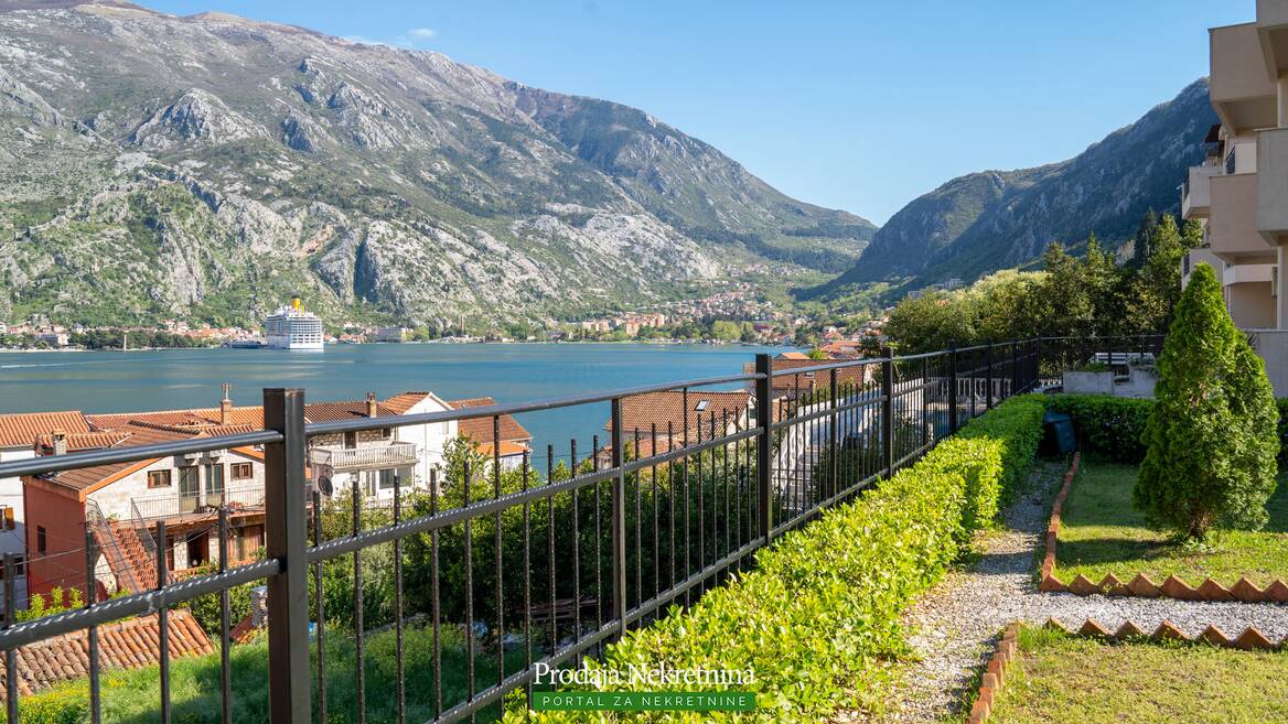 Muo, Kotor