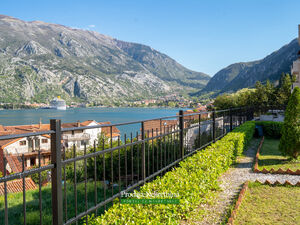 Muo, Kotor