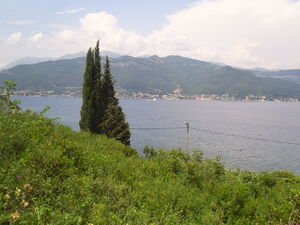 Krašići bb, Tivat