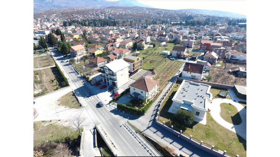 Masline, Podgorica