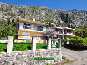 dobrota, Kotor