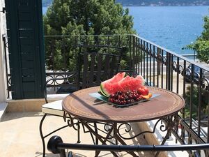 Strp, Kotor