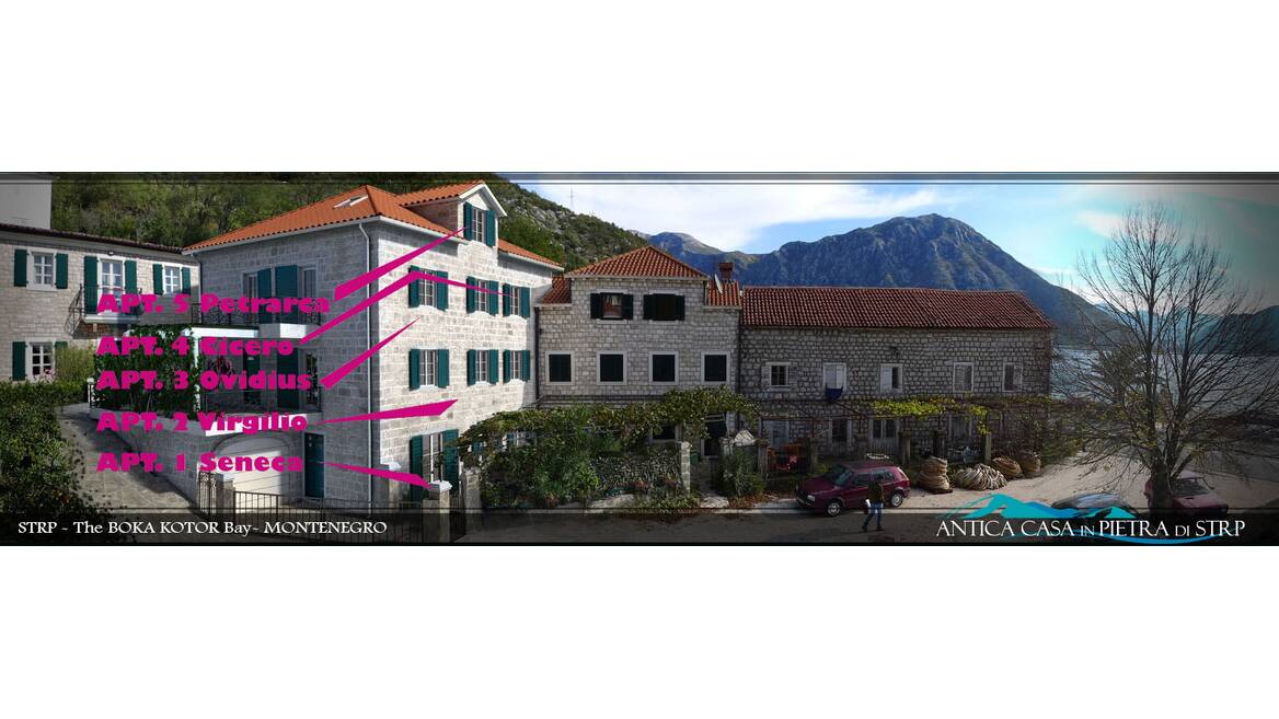 Strp, Kotor