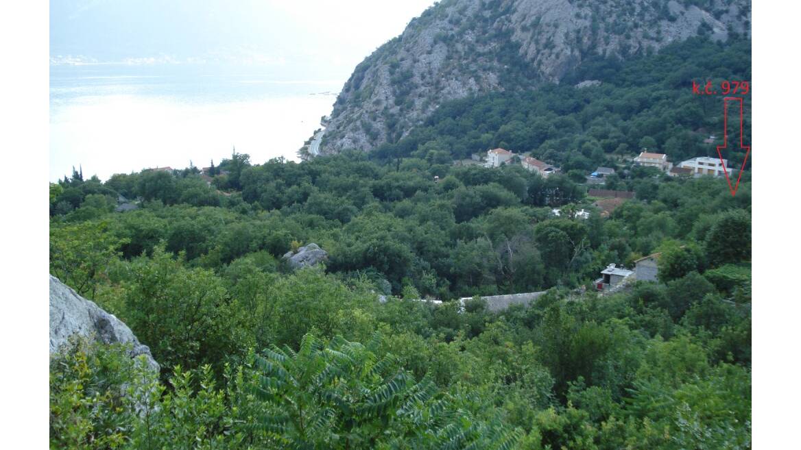 Orahovac bb, Kotor