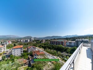 Momisici, Podgorica