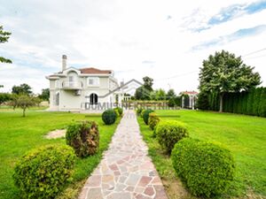 Golubovci, Podgorica