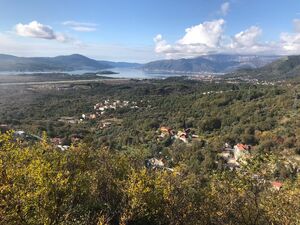 Kavac, Kotor