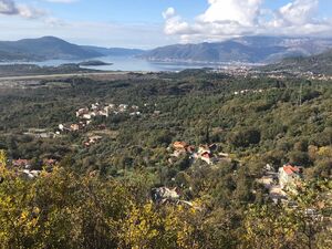 Kavac, Kotor