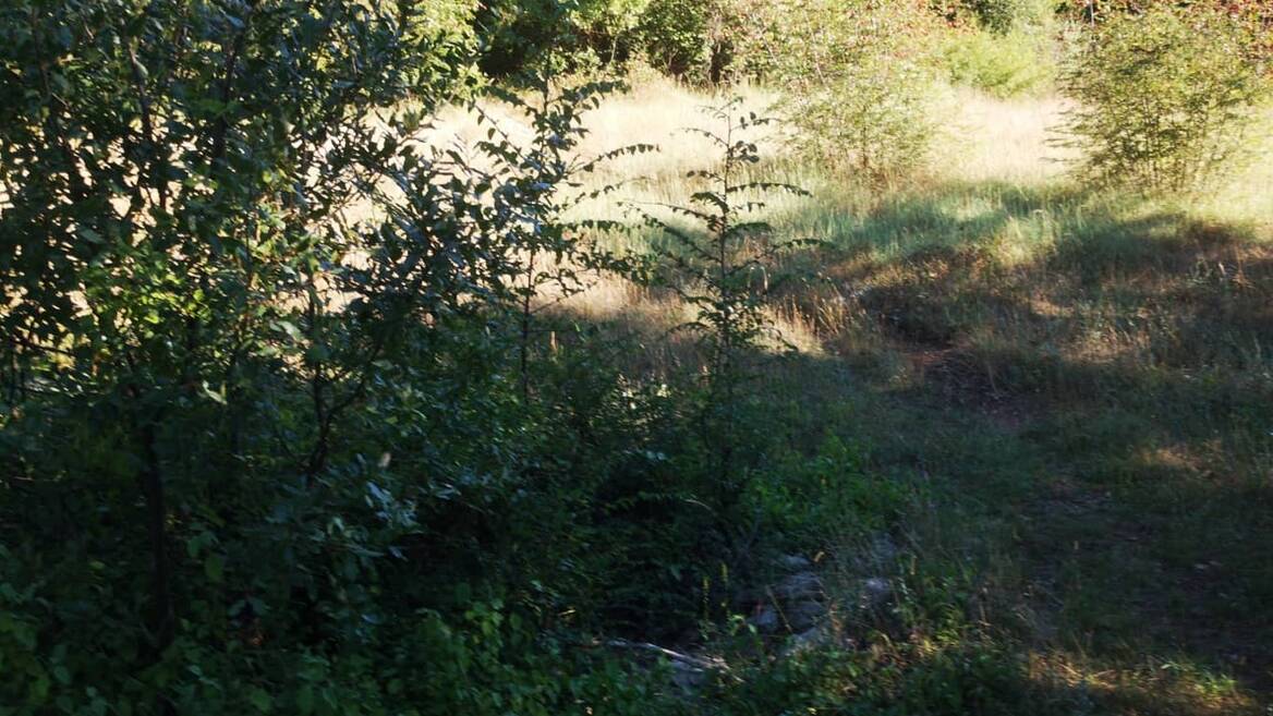Rogami, Djurkovići, Podgorica