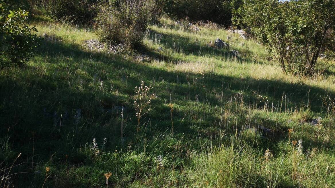 Rogami, Djurkovići, Podgorica