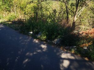 Rogami, Djurkovići, Podgorica