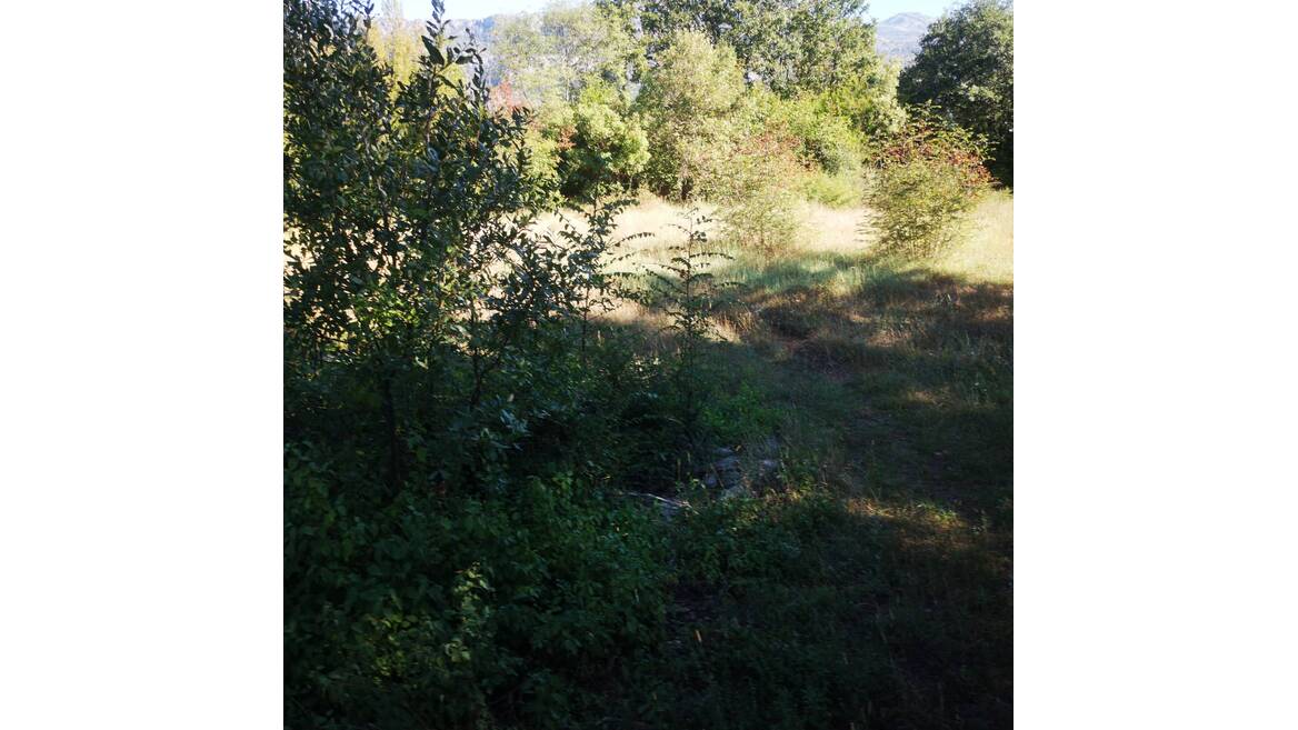 Rogami, Djurkovići, Podgorica